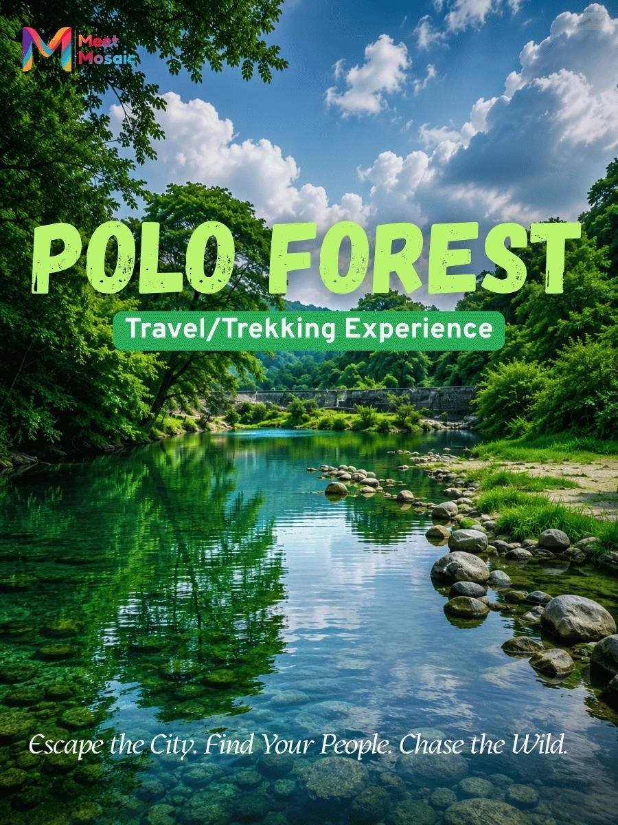 Polo Forest Escape
