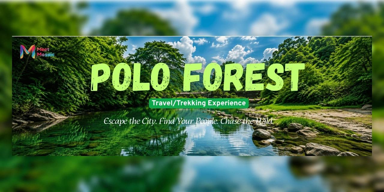 Polo Forest Escape